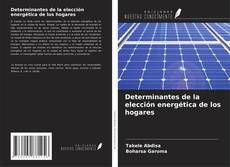 Buchcover von Determinantes de la elección energética de los hogares