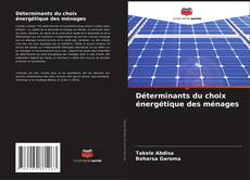 Bookcover of Déterminants du choix énergétique des ménages