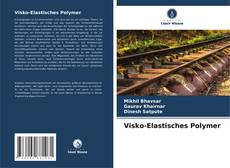 Portada del libro de Visko-Elastisches Polymer