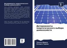 Обложка Детерминанты энергетического выбора домохозяйств