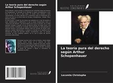 Bookcover of La teoría pura del derecho según Arthur Schopenhauer