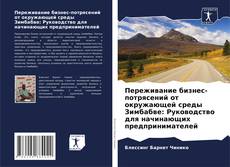 Переживание бизнес-потрясений от окружающей среды Зимбабве: Руководство для начинающих предпринимателей kitap kapağı