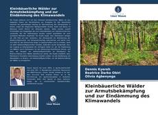 Bookcover of Kleinbäuerliche Wälder zur Armutsbekämpfung und zur Eindämmung des Klimawandels
