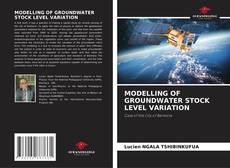 Bookcover of MODELLING OF GROUNDWATER STOCK LEVEL VARIATION