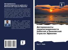 Capa do livro de Детерминанты удовлетворенности работой в банковской отрасли Эфиопии 
