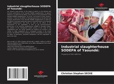 Bookcover of Industrial slaughterhouse SODEPA of Yaoundé: