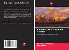 Buchcover von Explorações no Vale de Tambillo