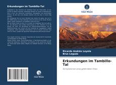 Buchcover von Erkundungen im Tambillo-Tal