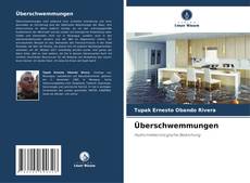 Portada del libro de Überschwemmungen