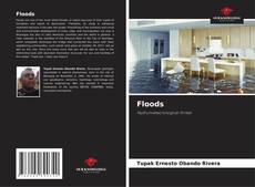 Bookcover of Floods