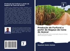 Couverture de Produção de Furfural a partir do Bagaço de Cana de Açúcar