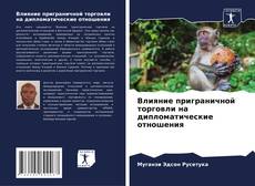 Влияние приграничной торговли на дипломатические отношения的封面