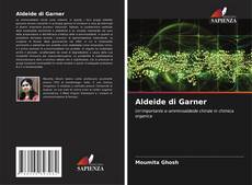 Buchcover von Aldeide di Garner
