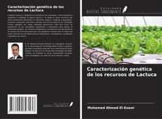 Buchcover von Caracterización genética de los recursos de Lactuca