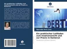 Portada del libro de Ein praktischer Leitfaden zum Insolvenzrecht und zur Praxis in Kamerun