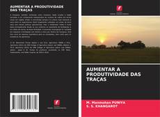 Buchcover von AUMENTAR A PRODUTIVIDADE DAS TRAÇAS