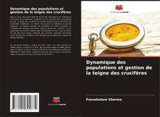 Bookcover of Dynamique des populations et gestion de la teigne des crucifères