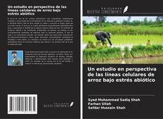 Buchcover von Un estudio en perspectiva de las líneas celulares de arroz bajo estrés abiótico