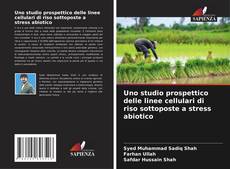 Buchcover von Uno studio prospettico delle linee cellulari di riso sottoposte a stress abiotico