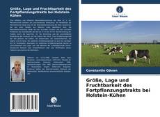 Portada del libro de Größe, Lage und Fruchtbarkeit des Fortpflanzungstrakts bei Holstein-Kühen