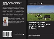 Capa do livro de Tamaño del tracto reproductivo, posición y fertilidad en vacas Holstein 
