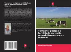 Buchcover von Tamanho, posição e fertilidade do tracto reprodutivo nas vacas Holstein