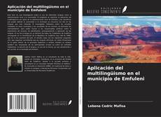 Bookcover of Aplicación del multilingüismo en el municipio de Emfuleni