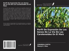Bookcover of Perfil De Expresión De Los Genes De La Vía De Los Carotenoides En El Maíz