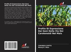 Profilo Di Espressione Dei Geni Della Via Dei Carotenoidi Nel Mais kitap kapağı