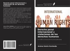 Copertina di Derecho penal internacional y violaciones de los derechos humanos