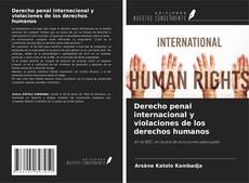 Обложка Derecho penal internacional y violaciones de los derechos humanos