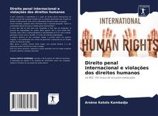 Copertina di Direito penal internacional e violações dos direitos humanos