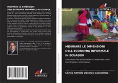 MISURARE LE DIMENSIONI DELL'ECONOMIA INFORMALE IN ECUADOR kitap kapağı