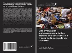 Una evaluación socioeconómica de los medios de subsistencia a través de la recogida de chatarra的封面