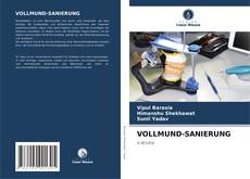 Buchcover von VOLLMUND-SANIERUNG