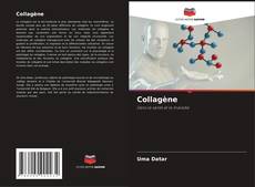 Buchcover von Collagène