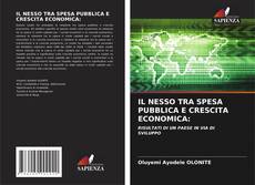 IL NESSO TRA SPESA PUBBLICA E CRESCITA ECONOMICA: kitap kapağı