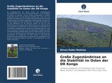 Buchcover von Große Zugeständnisse an die Stabilität im Osten der DR Kongo