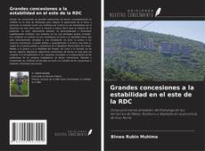 Portada del libro de Grandes concesiones a la estabilidad en el este de la RDC