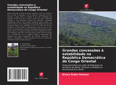 Buchcover von Grandes concessões à estabilidade na República Democrática do Congo Oriental