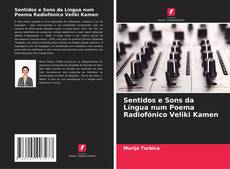 Portada del libro de Sentidos e Sons da Língua num Poema Radiofónico Veliki Kamen