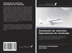 Buchcover von Simulación de vehículos hipersónicos de reentrada