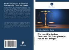 Portada del libro de Ein brasilianisches Zentrum für Energierecht: Fokus auf Erdgas