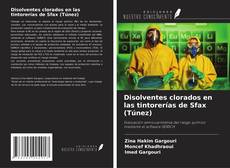 Buchcover von Disolventes clorados en las tintorerías de Sfax (Túnez)