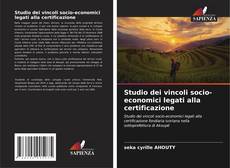 Studio dei vincoli socio-economici legati alla certificazione kitap kapağı