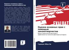 Bookcover of Оценка основных прав с помощью законотворчества