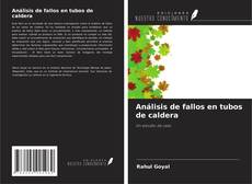 Buchcover von Análisis de fallos en tubos de caldera