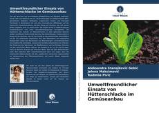 Borítókép a  Umweltfreundlicher Einsatz von Hüttenschlacke im Gemüseanbau - hoz