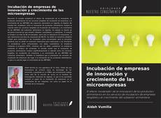 Capa do livro de Incubación de empresas de innovación y crecimiento de las microempresas 
