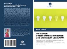 Buchcover von Innovation Unternehmensinkubation und Wachstum von KKMU